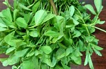 BENEFITS OF METHI,METHI LEAVES