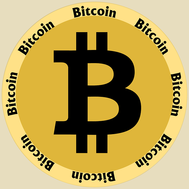 Bitcoins, the Virtual Currency 