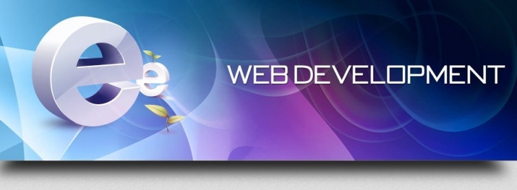 How to choose a best web development company for your project ?