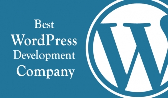 Best 5 WordPress companies