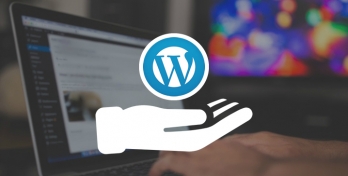 Advantage of Hiring Professional Wordpress Development Company