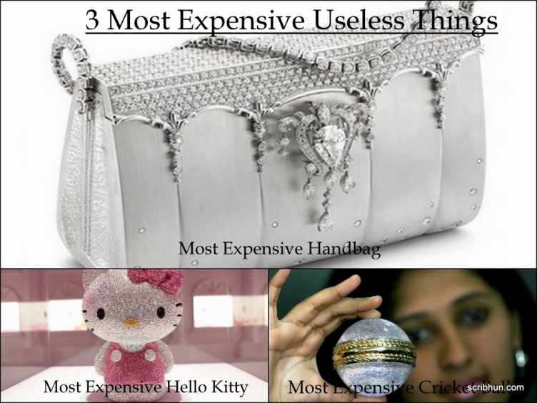 3 Most Expensive Useless Things